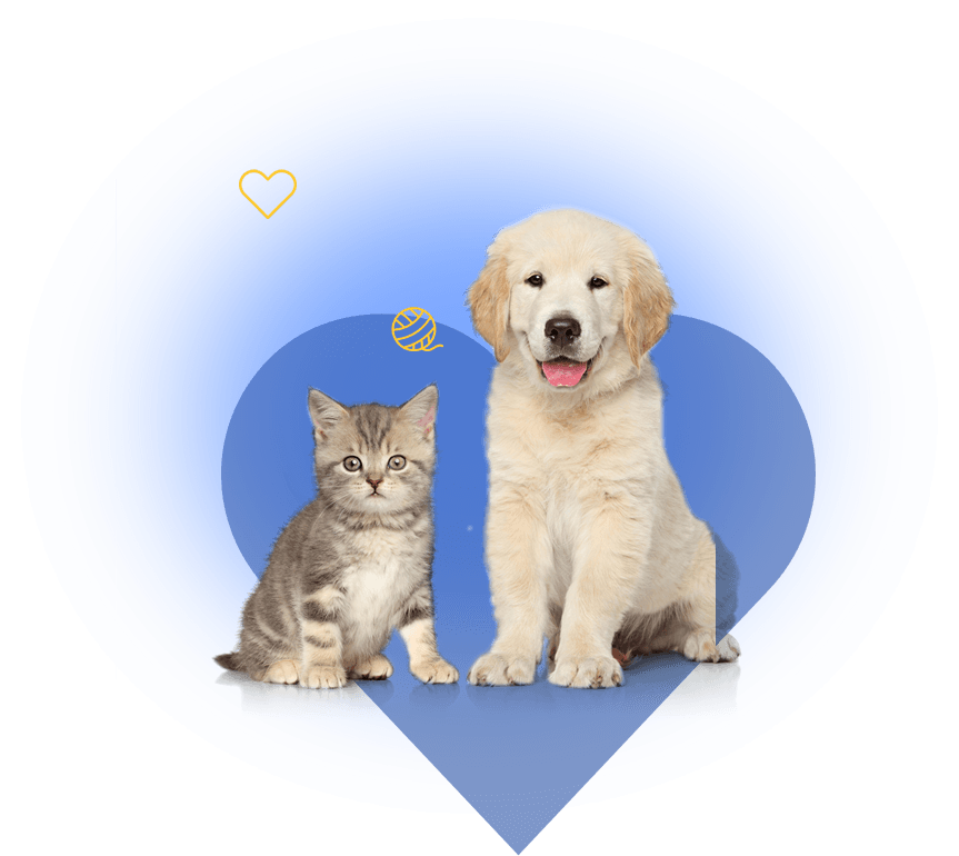 cat-dog