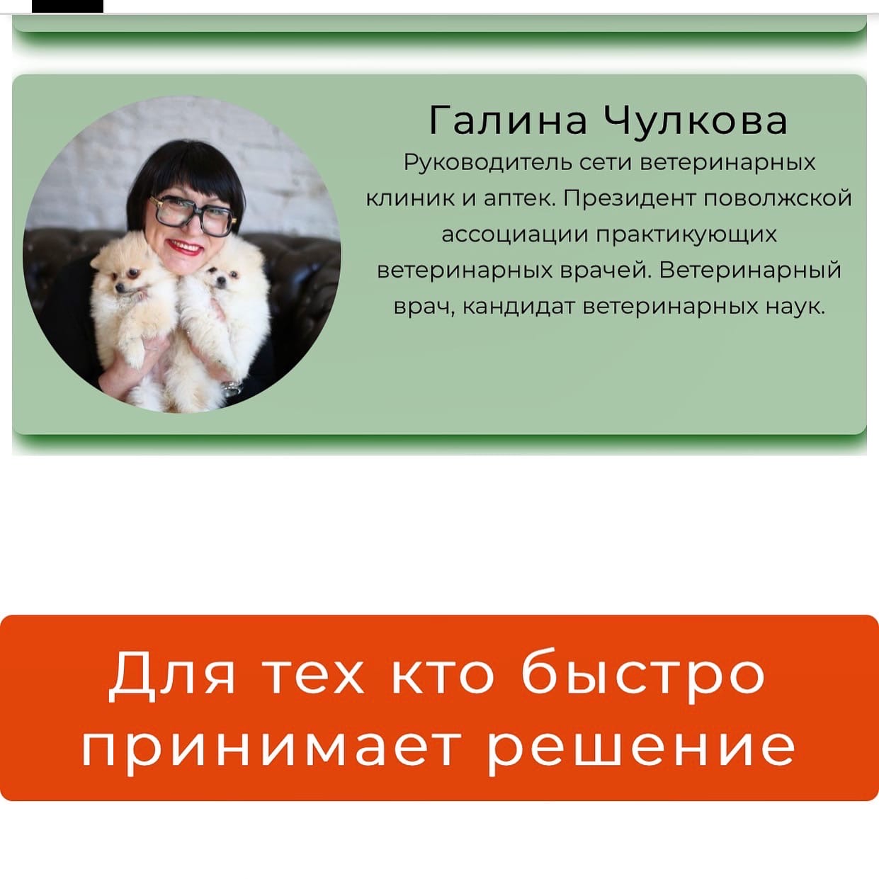Марафон от Timkin’s Hall. Уверенный пёс: без страхов и фобий