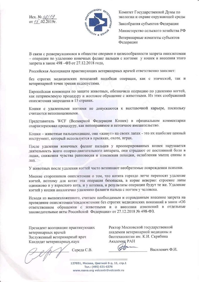 Наша клиника не удаляет когти кошкам!