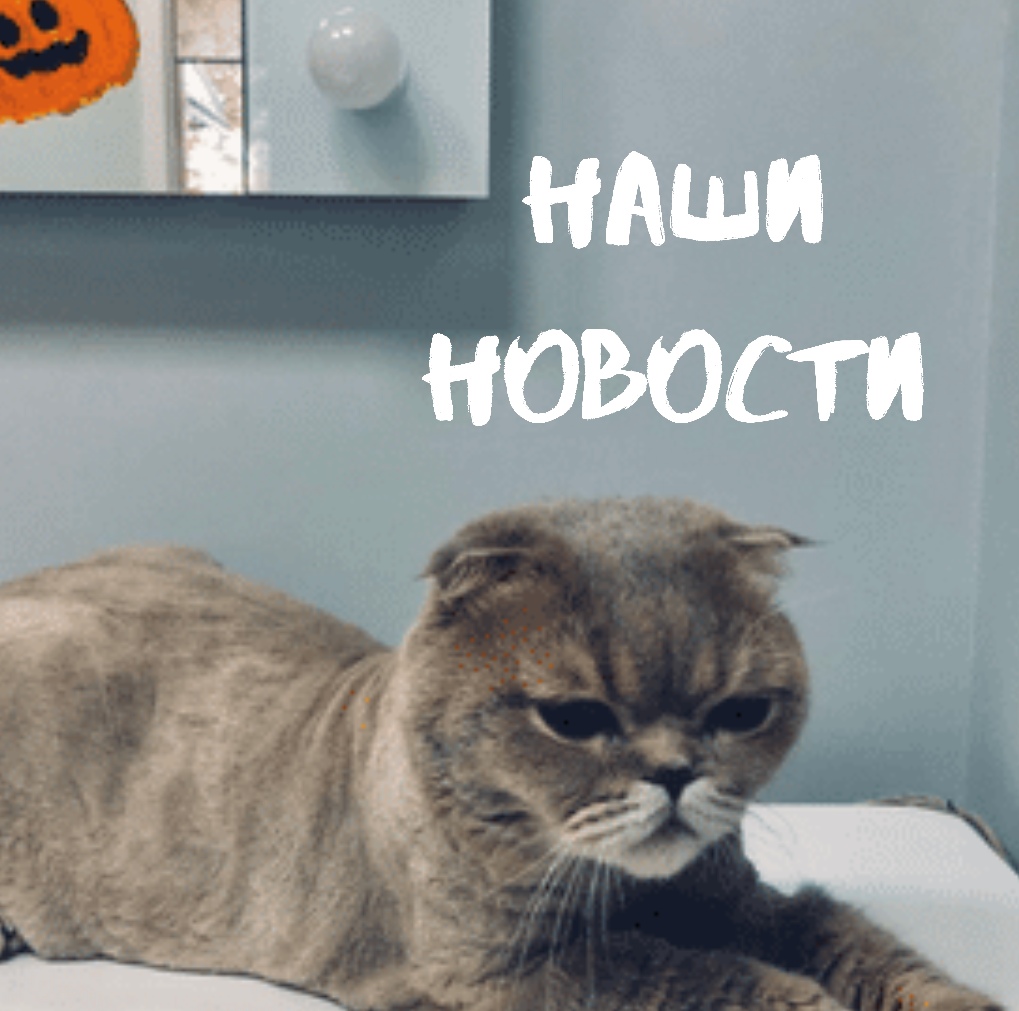 ОТКРЫВАЕМ НОВУЮ ВЕТАПТЕКУ