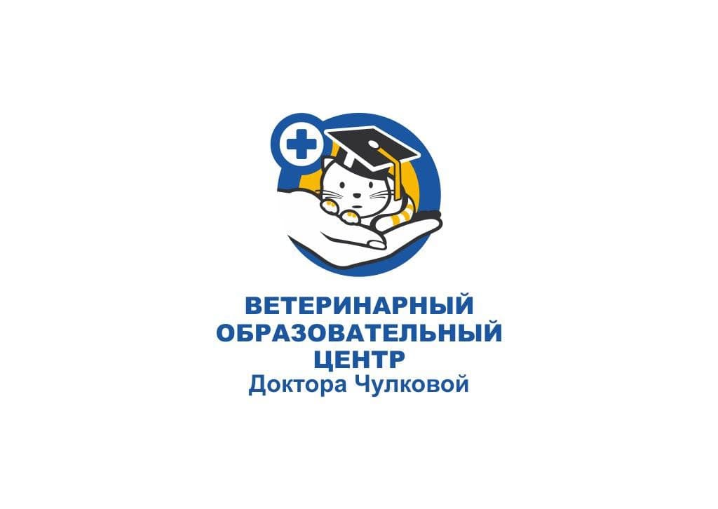 Приглашаем Вас на "Базовый курс по хирургии для врачей общей практики" в ветериный образовательный центр Доктора Чулковой.