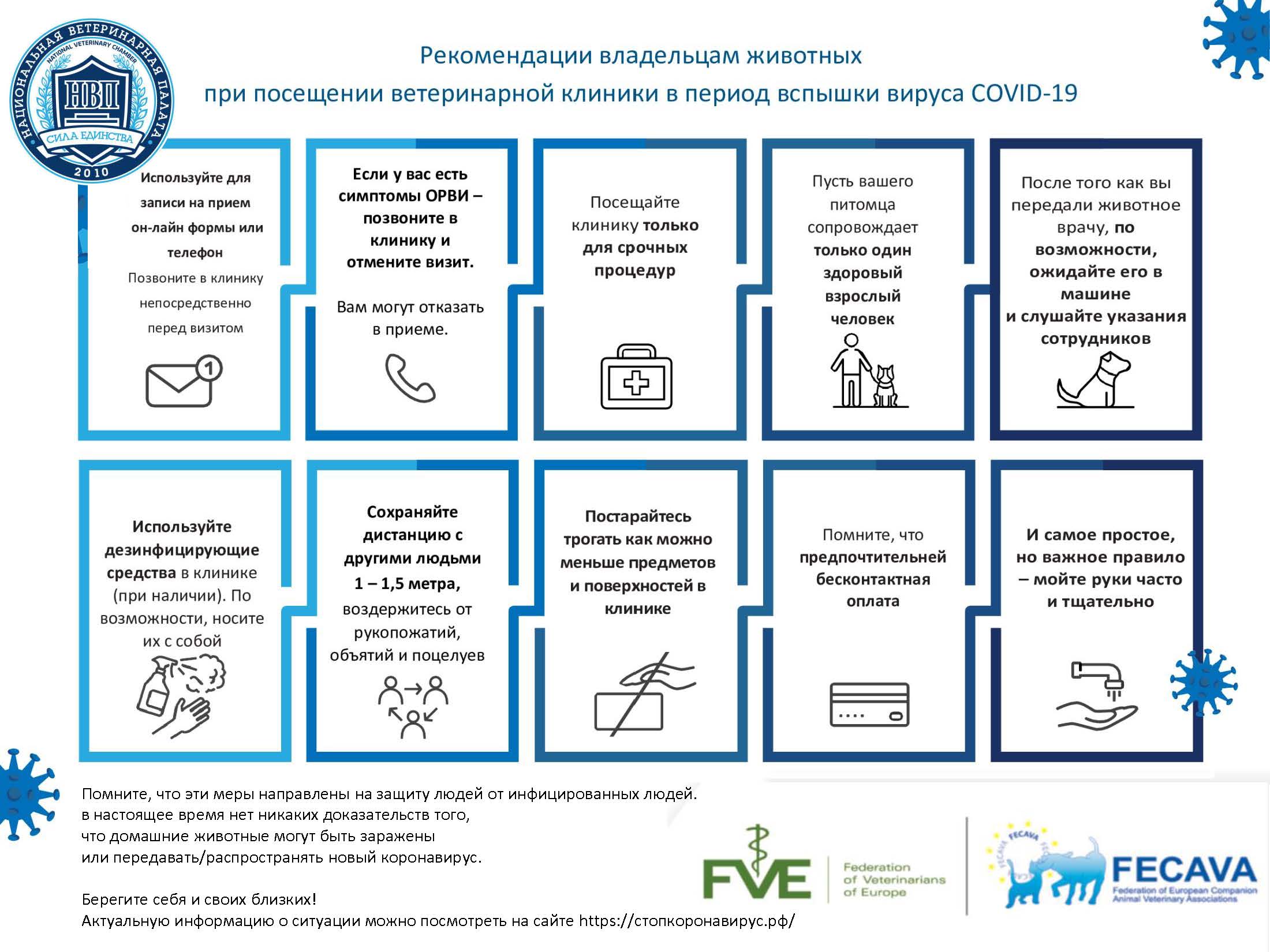 Рекомендации владельцам животных при посещении ветеринарной клиники в период вспышки вируса COVID-19