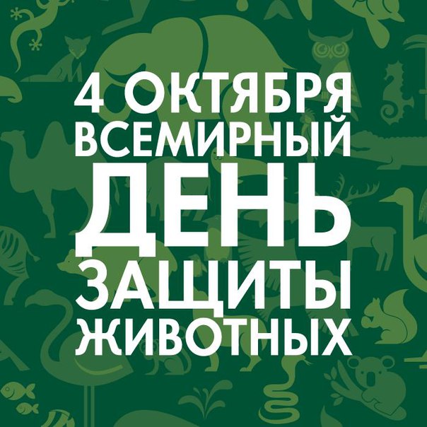 Всемирный День Защиты Животных!