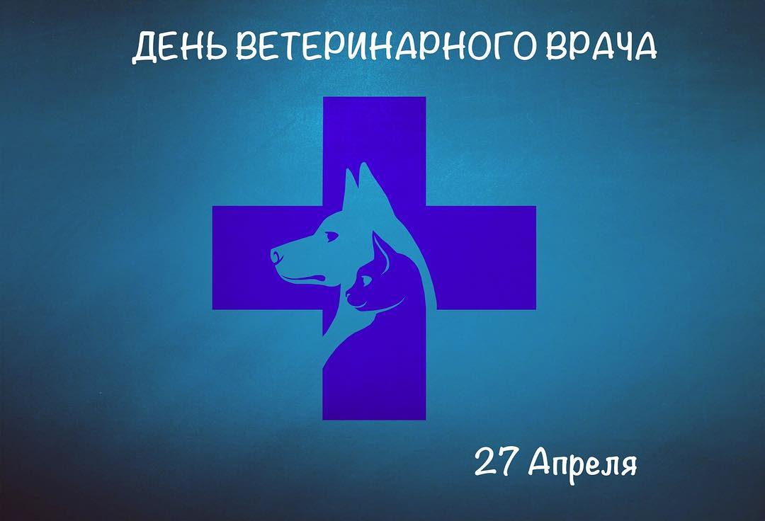 День ветеринарного врача
