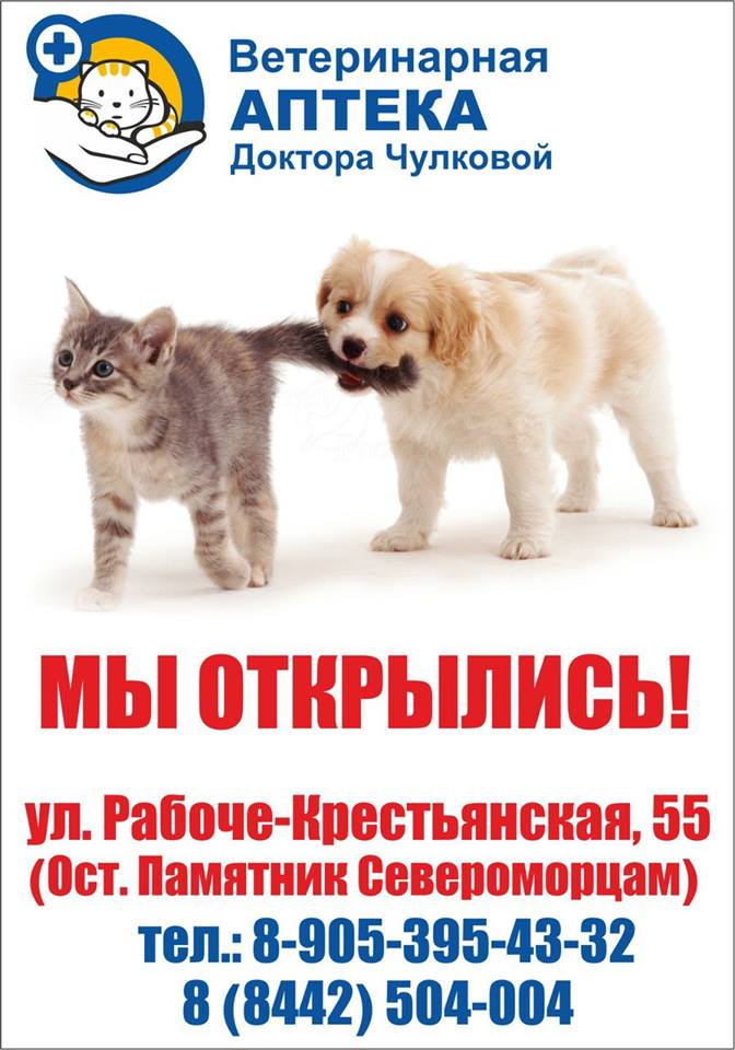 Отрытие новой ветеринарной аптеки