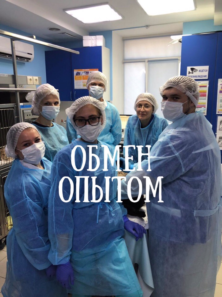 Обмен опытом