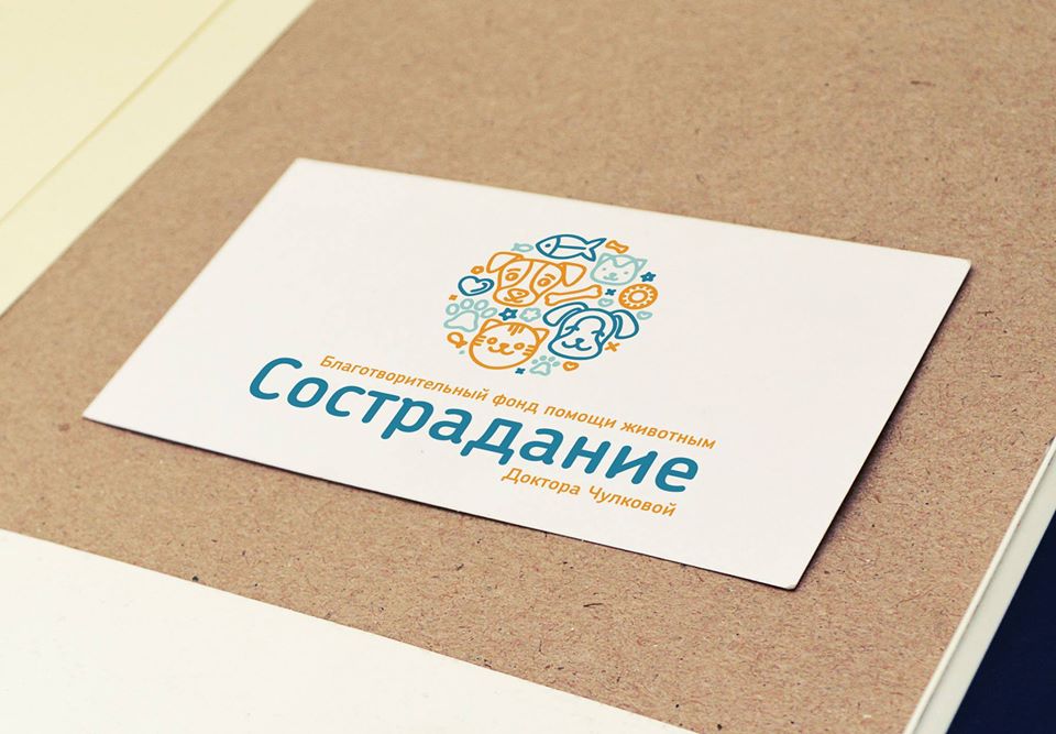 Друзья, мы открыли официально зарегистрированный благотворительный фонд помощи бездомным животным