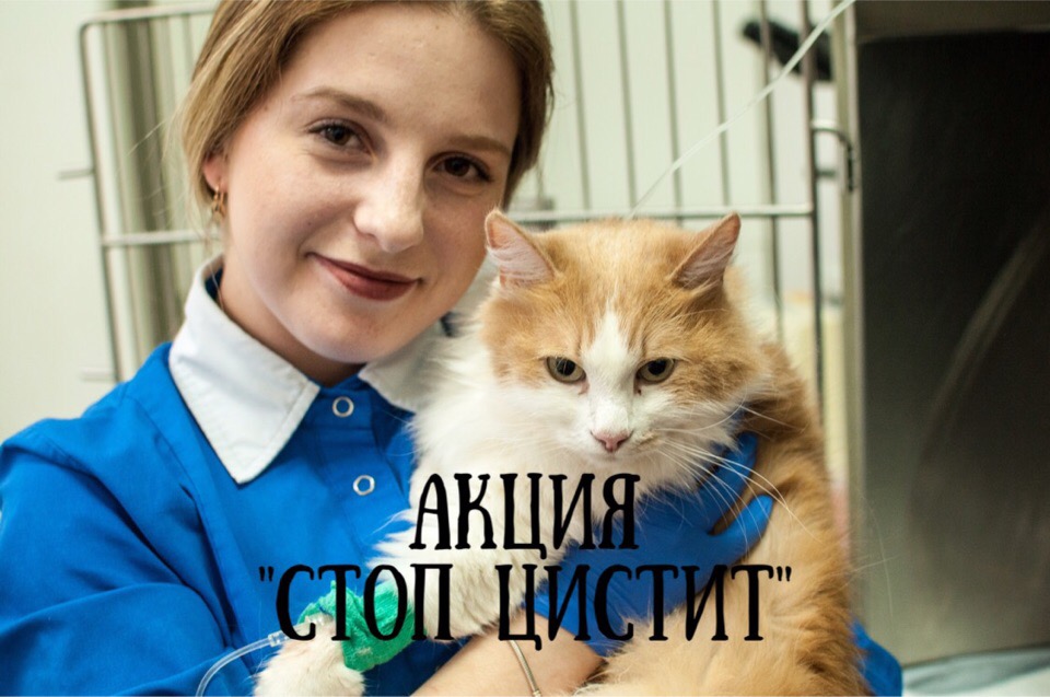 Акция "Стоп цистит"