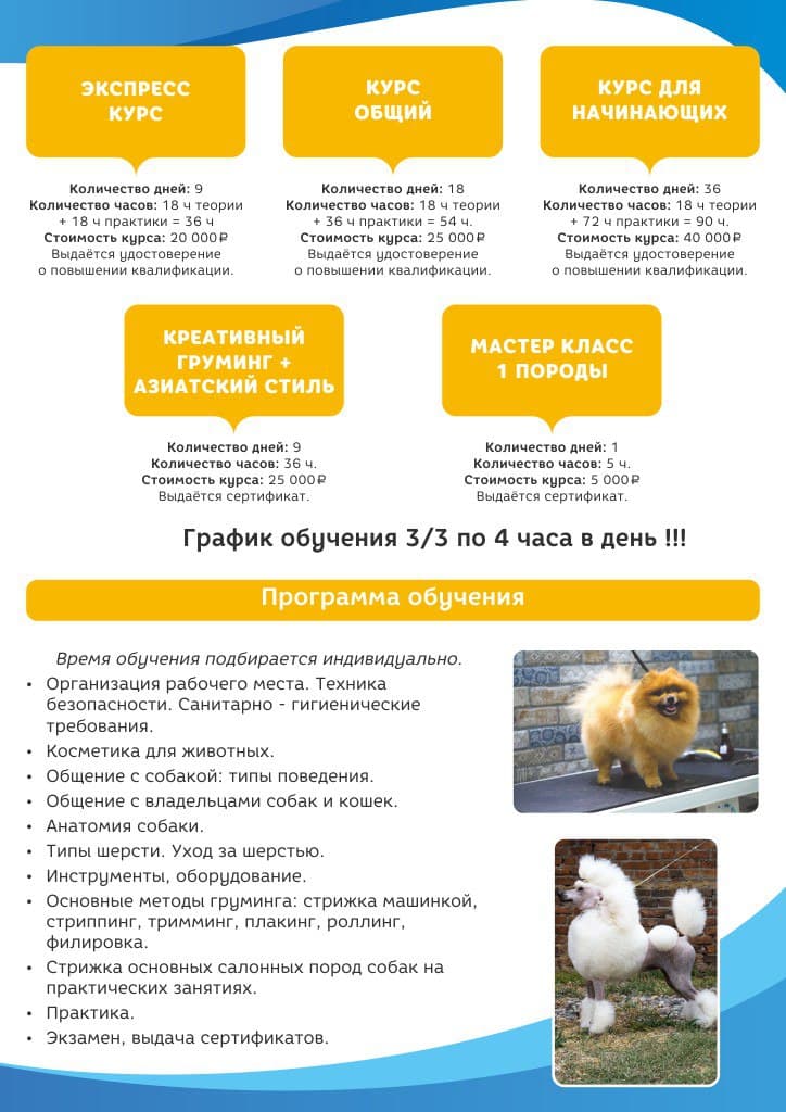 грум2.jpg